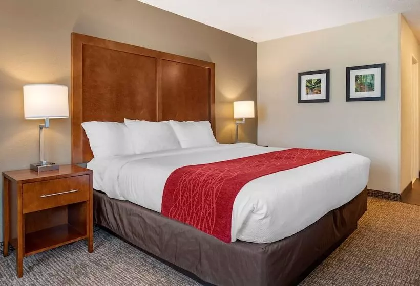 身障者適用スイートルーム, Comfort Inn La Porte