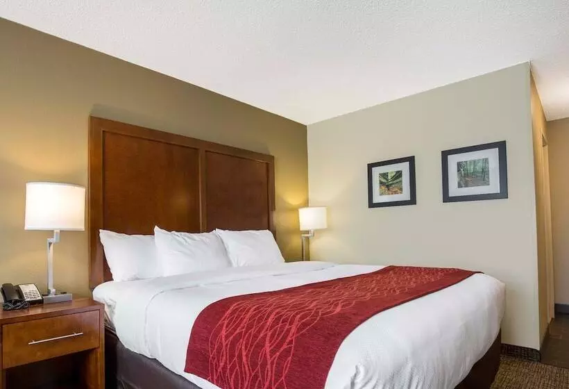 身障者適用スイートルーム, Comfort Inn La Porte