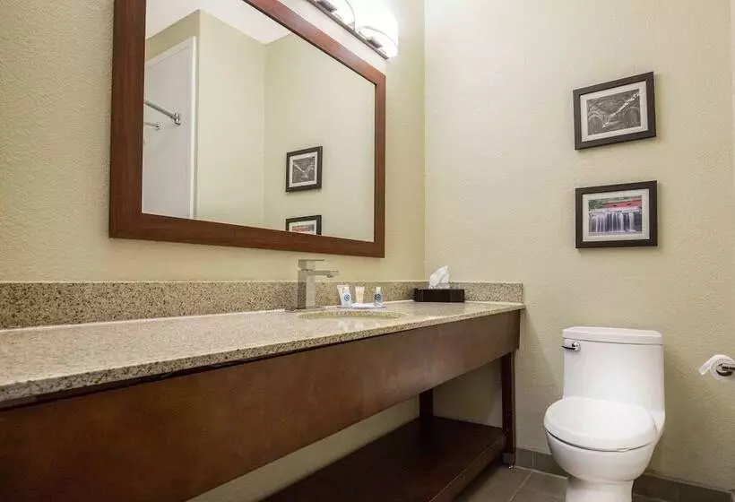 スイート, Comfort Inn La Porte