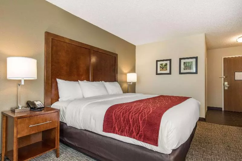 スイート, Comfort Inn La Porte