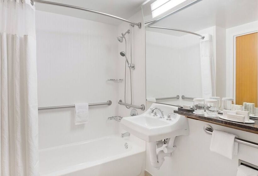 غرفه قياسيه سريرين مزدوجين, Courtyard Miami Downtown Brickell Area