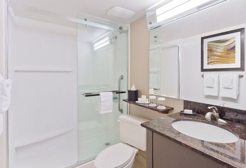 חדר סטנדרט שתי מיטות זוגיות, Courtyard Miami Downtown Brickell Area