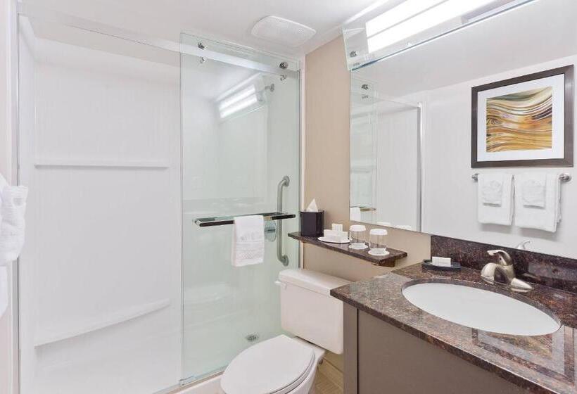 חדר סטנדרט עם מיטת קינג, Courtyard Miami Downtown Brickell Area