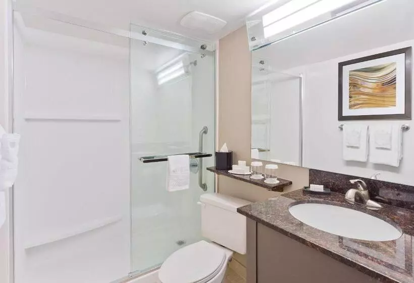 اتاق استاندارد با تخت بزرگ, Courtyard Miami Downtown Brickell Area