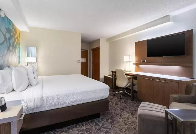 اتاق استاندارد با تخت بزرگ, Courtyard Miami Downtown Brickell Area