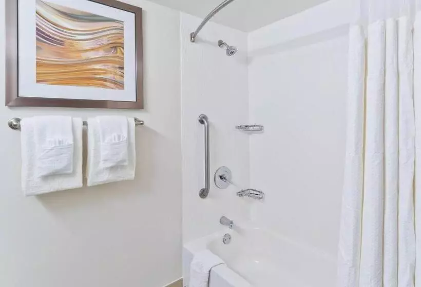 اتاق استاندارد با 2 تخت دوبل, Courtyard Miami Downtown Brickell Area