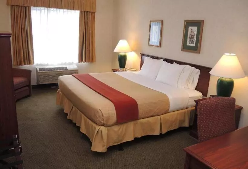 Standard-huone King-vuode, Evergreen Inn & Suites