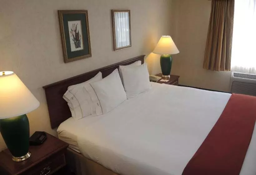 Standard-huone King-vuode, Evergreen Inn & Suites