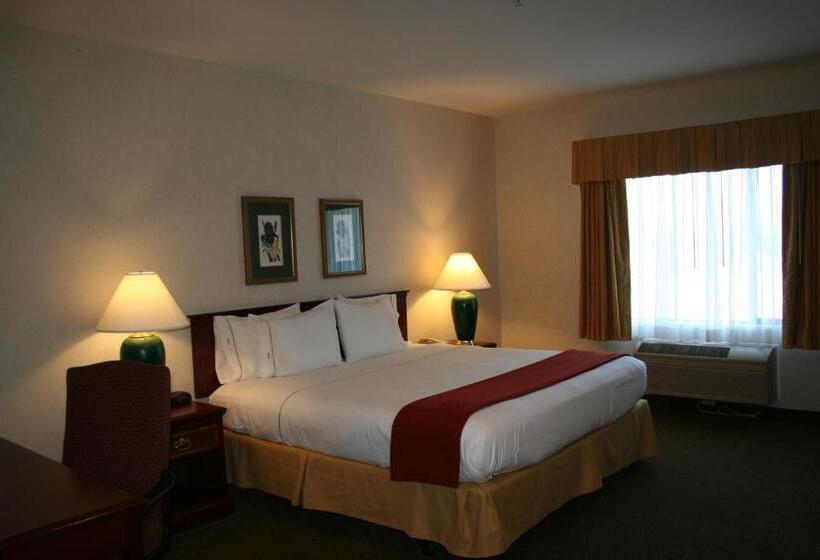 غرفة قياسية سرير كينج, Evergreen Inn & Suites
