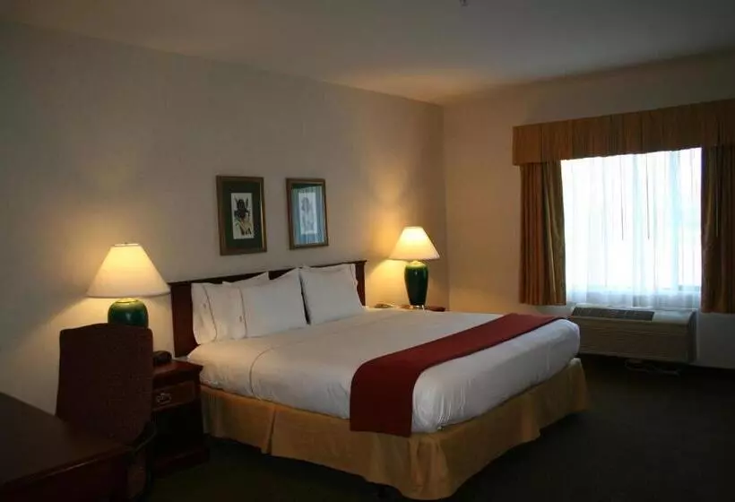 Standard-huone King-vuode, Evergreen Inn & Suites