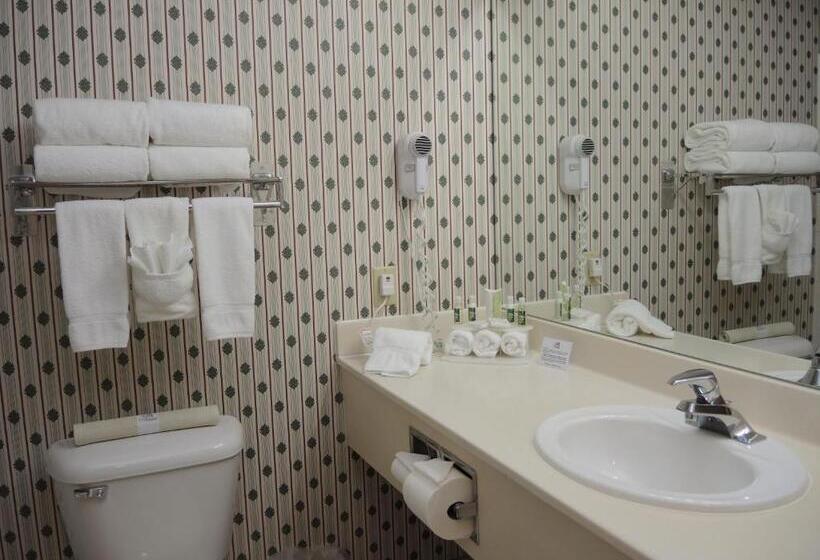 스탠다드 룸, Evergreen Inn & Suites
