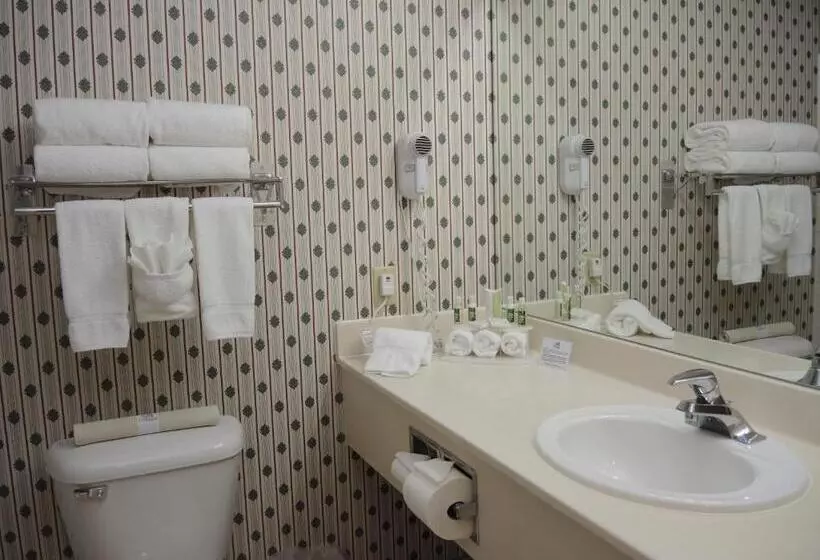 Standard-huone, Evergreen Inn & Suites