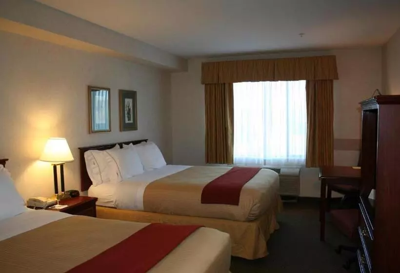 Standard-huone, Evergreen Inn & Suites