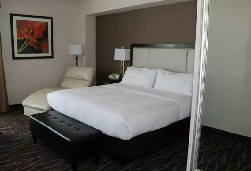 اتاق استاندارد با تخت بزرگ, Holiday Inn Des Moines Airport Conf Center, An Ihg