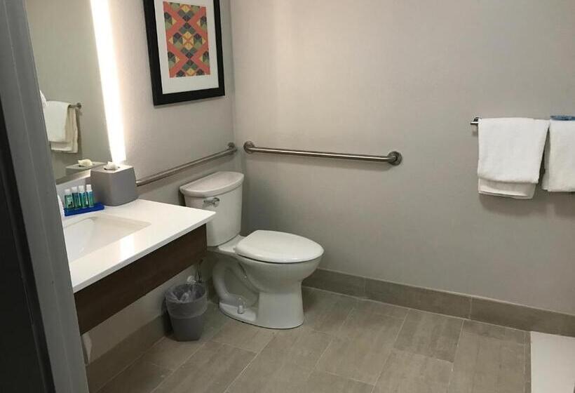 غرفة قياسية سرير كينج لذوى الإحتياجات الخاصة, Holiday Inn Express   Naples South   I 75, An Ihg