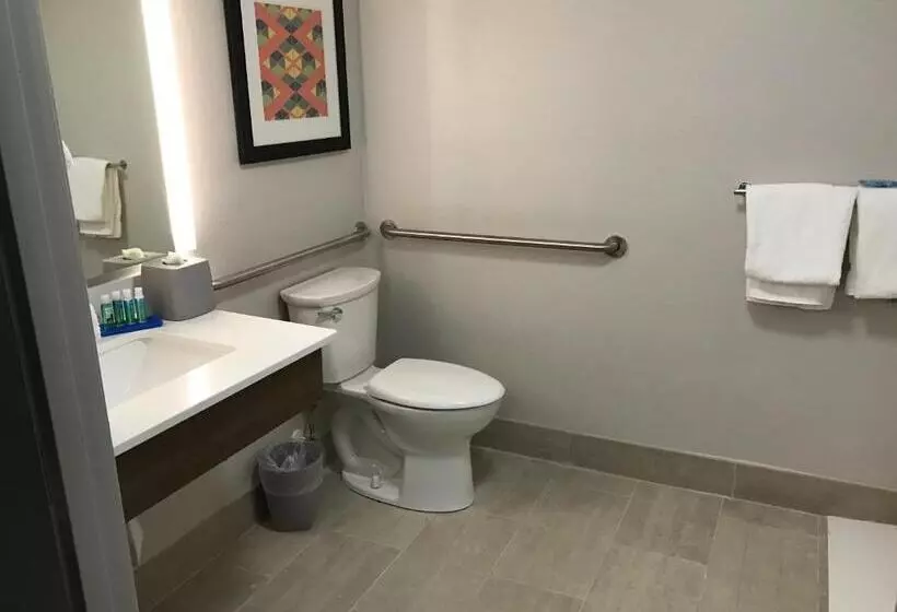 اتاق استاندارد با تخت بزرگ برای معلولان, Holiday Inn Express   Naples South   I 75, An Ihg