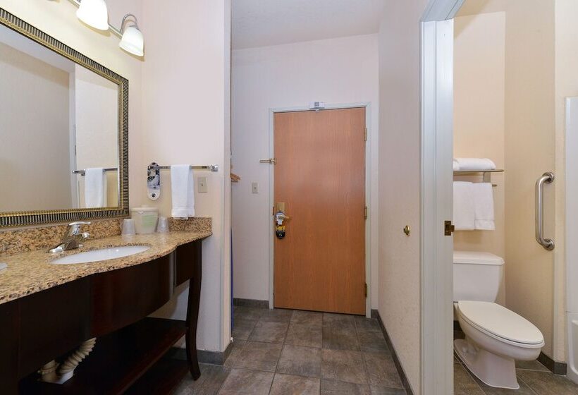 Quarto Estandar, Holiday Inn Express Hotel & Suites Farmington, An Ihg