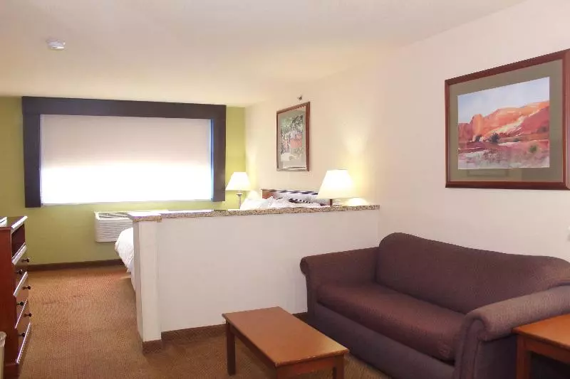 اتاق استاندارد با تخت بزرگ, Holiday Inn Express Hotel & Suites Farmington, An Ihg