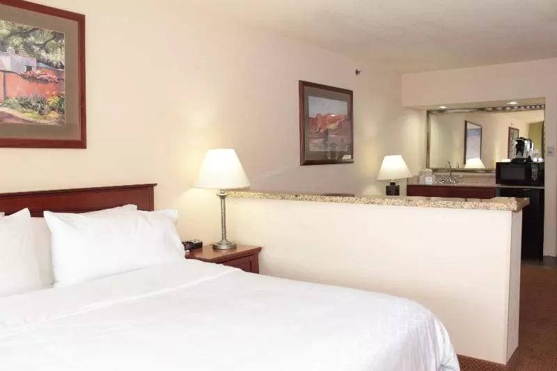 اتاق استاندارد با تخت بزرگ, Holiday Inn Express Hotel & Suites Farmington, An Ihg