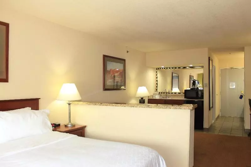 اتاق استاندارد با تخت بزرگ, Holiday Inn Express Hotel & Suites Farmington, An Ihg