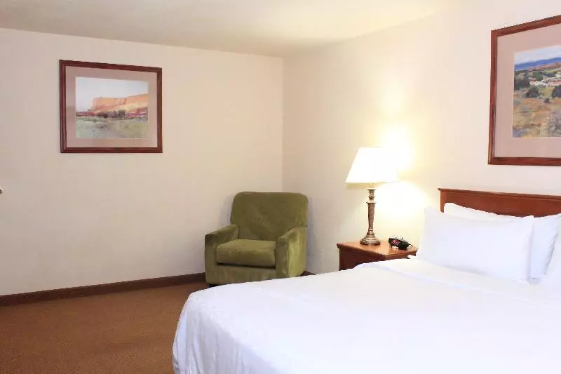 سوئیت با تخت بزرگ, Holiday Inn Express Hotel & Suites Farmington, An Ihg