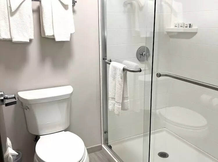 Standard-huone, Holiday Inn Express Hotel & Suites Portland   Jantzen Beach, An Ihg