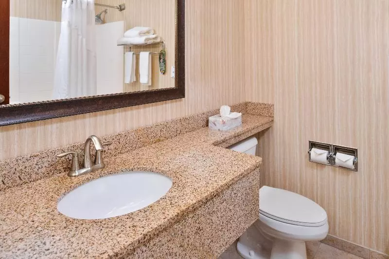 Standard-huone King-vuode, Holiday Inn Express Hotel & Suites Portland   Jantzen Beach, An Ihg