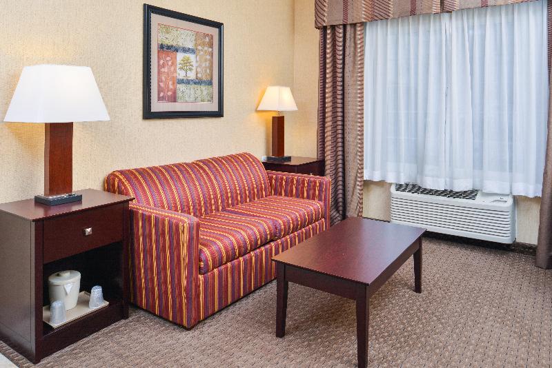 キングサイズベッドのスタンダードルーム, Holiday Inn Express Hotel & Suites Portland   Jantzen Beach, An Ihg