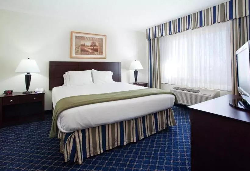 身障者適用キングサイズベッドルーム, Holiday Inn Express Hotel & Suites Torrington, An Ihg
