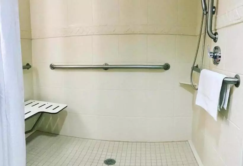 身障者適用キングサイズベッドルーム, Holiday Inn Express Hotel & Suites Torrington, An Ihg