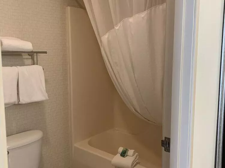 スタンダードルーム, Holiday Inn Express Hotel & Suites Torrington, An Ihg