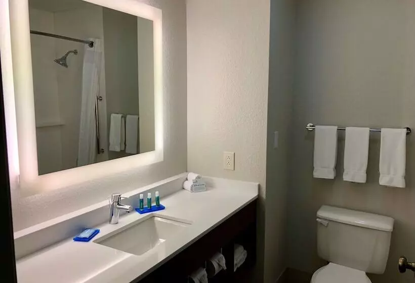 スタンダードルーム, Holiday Inn Express Arlington Interstate 20 Parks Mall, An Ihg
