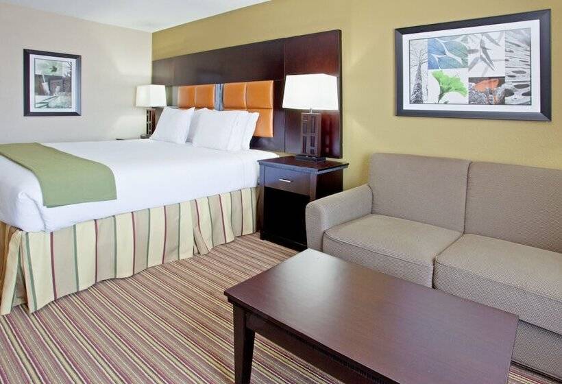 스탠다드 룸, Holiday Inn Express Arlington Interstate 20 Parks Mall, An Ihg