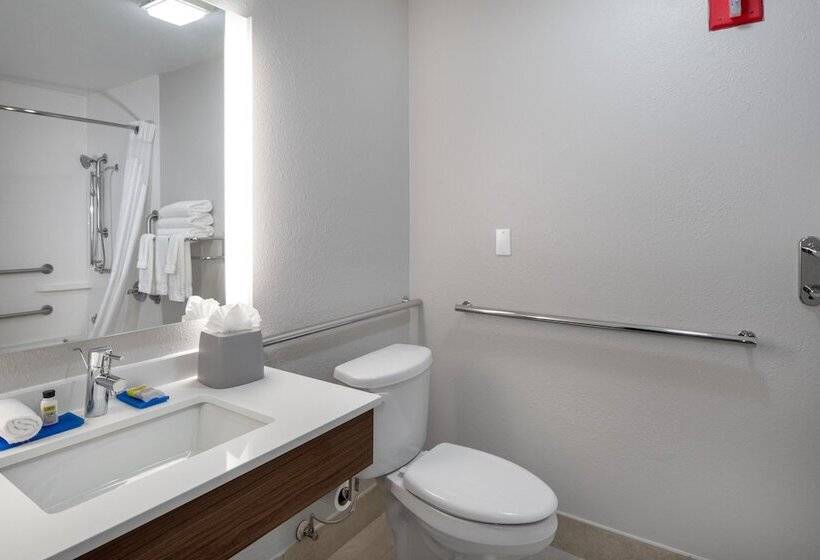 스위트, Holiday Inn Express Arlington Interstate 20 Parks Mall, An Ihg