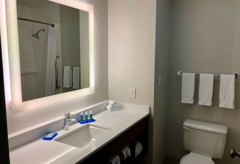 Люкс, Holiday Inn Express Arlington Interstate 20 Parks Mall, An Ihg