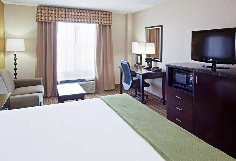 スイート, Holiday Inn Express Arlington Interstate 20 Parks Mall, An Ihg