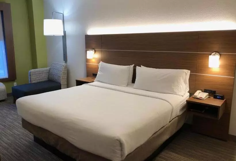 キングサイズベッドのスタンダードルーム, Holiday Inn Express Arlington Interstate 20 Parks Mall, An Ihg