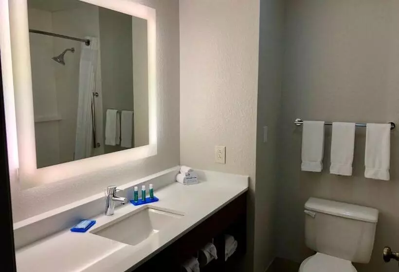 キングサイズベッドのスタンダードルーム, Holiday Inn Express Arlington Interstate 20 Parks Mall, An Ihg