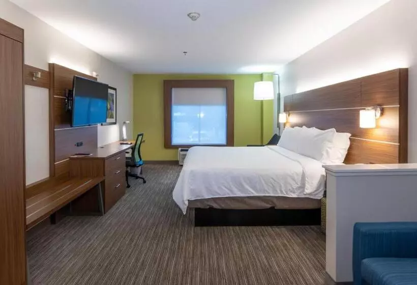 キングサイズベッドのスタンダードルーム, Holiday Inn Express Arlington Interstate 20 Parks Mall, An Ihg