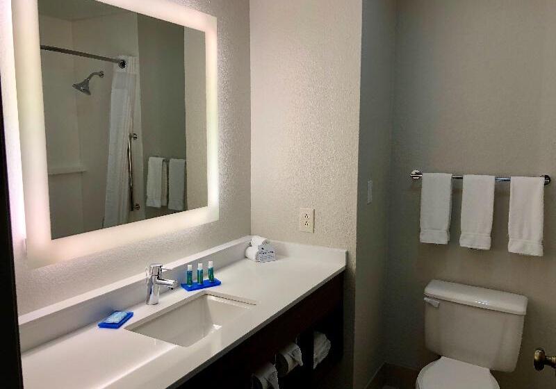 스탠다드 룸 킹사이즈 침대, Holiday Inn Express Arlington Interstate 20 Parks Mall, An Ihg