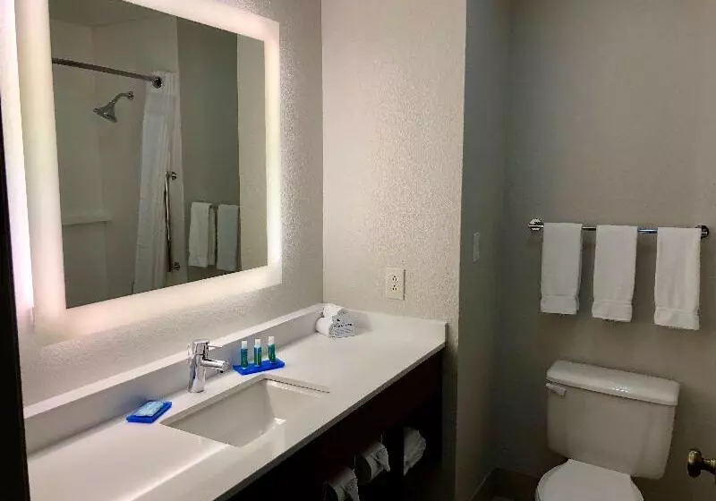 キングサイズベッドのスタンダードルーム, Holiday Inn Express Arlington Interstate 20 Parks Mall, An Ihg