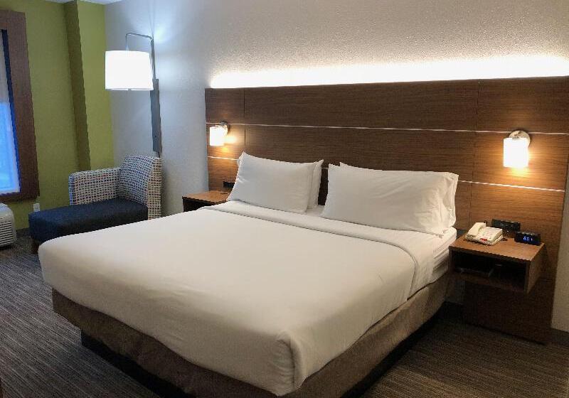 스탠다드 룸 킹사이즈 침대, Holiday Inn Express Arlington Interstate 20 Parks Mall, An Ihg