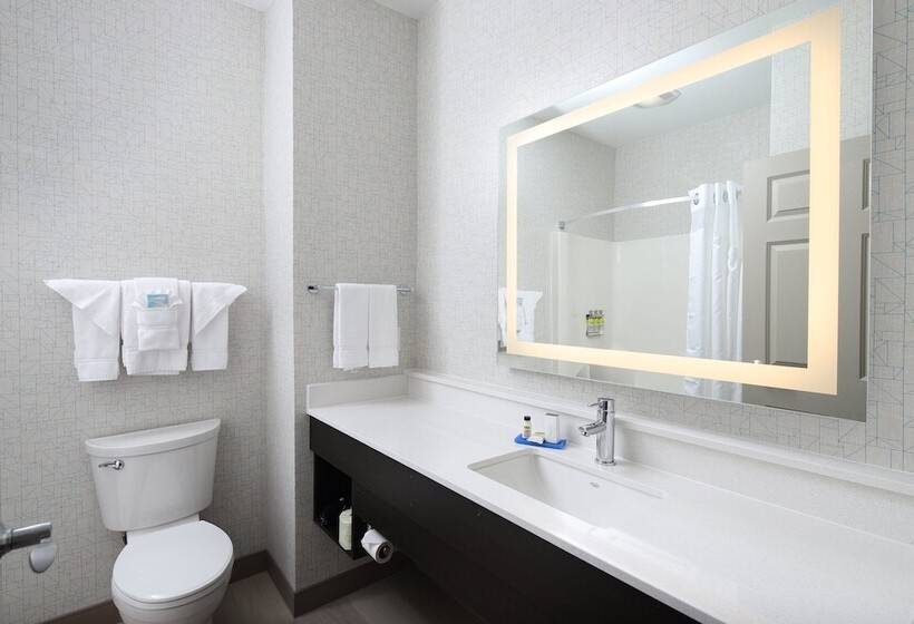 סוויטה, Holiday Inn Express Grand Rapids Southwest, An Ihg