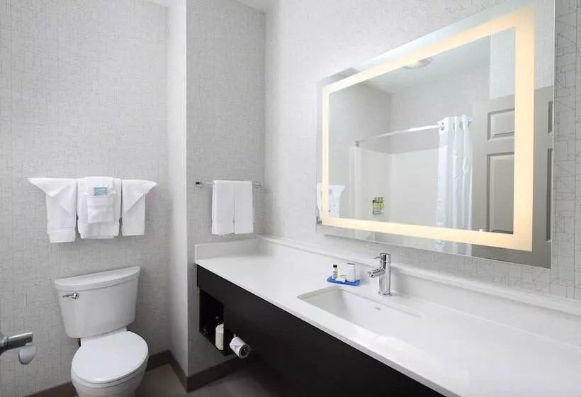 スイート, Holiday Inn Express Grand Rapids Southwest, An Ihg