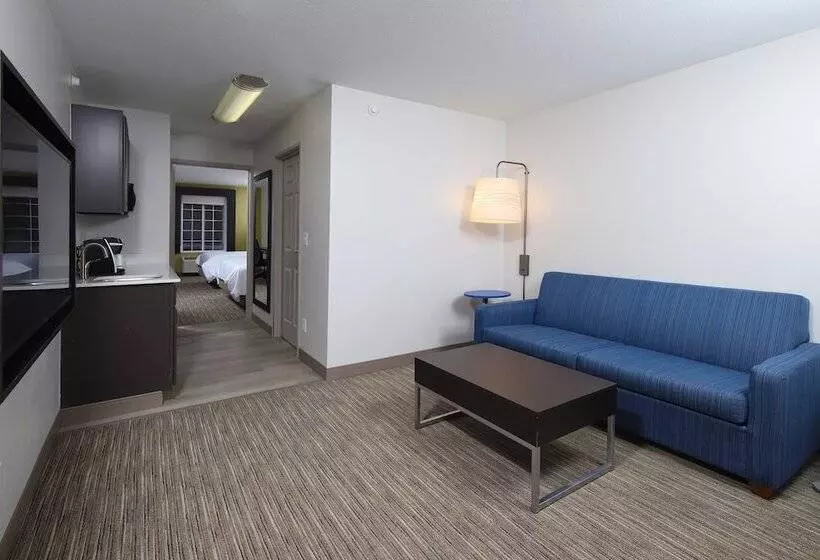 スイート, Holiday Inn Express Grand Rapids Southwest, An Ihg
