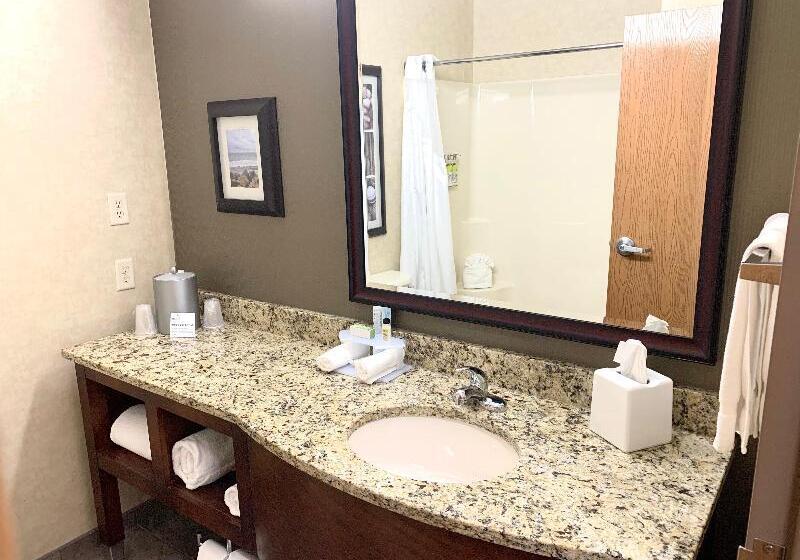 חדר סטנדרט נוף לבריכה, Holiday Inn Express Grand Rapids Southwest, An Ihg