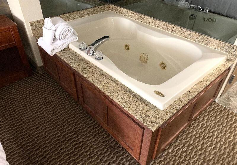 חדר סטנדרט נוף לבריכה, Holiday Inn Express Grand Rapids Southwest, An Ihg