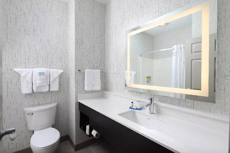キングサイズベッドのスタンダードルーム, Holiday Inn Express Grand Rapids Southwest, An Ihg