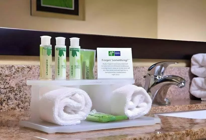 ２ダブルベッドのスタンダードルーム, Holiday Inn Express Houghton Keweenaw, An Ihg