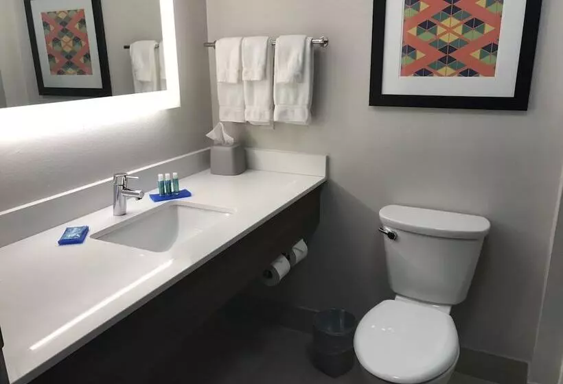 اتاق استاندارد, Holiday Inn Express   Naples South   I 75, An Ihg